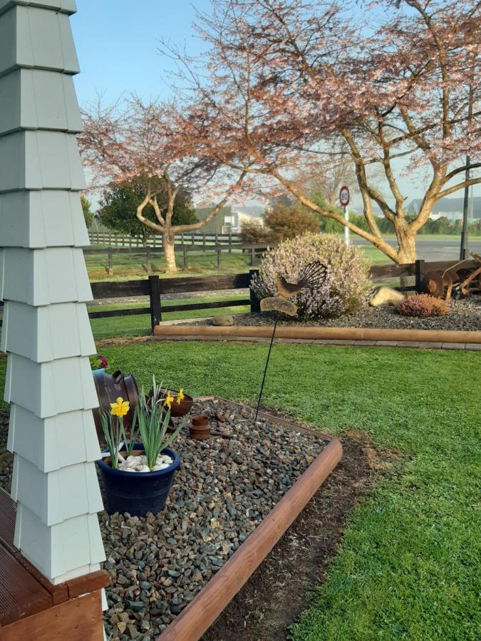 Denchys B&B Matamata Bagian luar foto